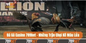 Đá Gà Casino 789bet - Tận Hưởng Những Trận Chọi Kê Máu Lửa