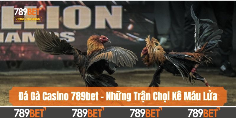 Đá Gà Casino 789bet - Tận Hưởng Những Trận Chọi Kê Máu Lửa