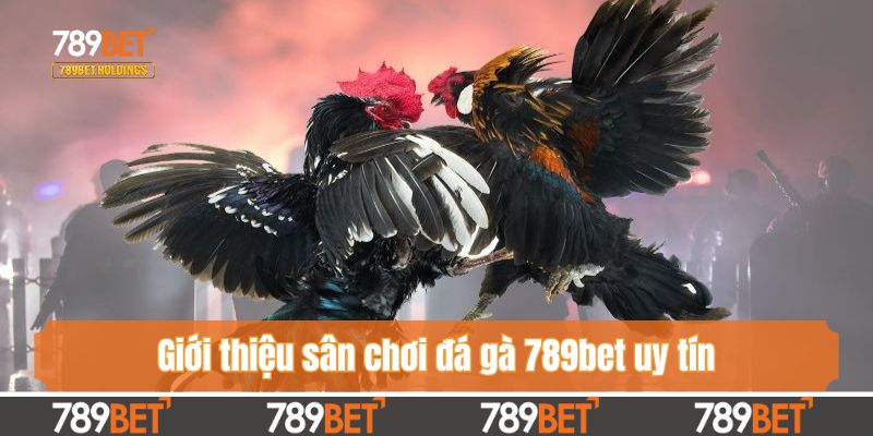 Giới thiệu sân chơi đá gà 789bet uy tín