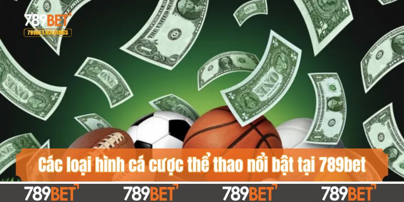 Khám phá các loại hình cá cược thể thao nổi bật tại 789bet