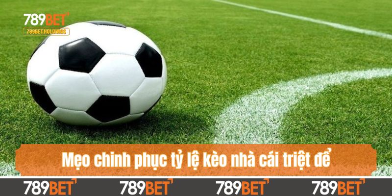 Mẹo chinh phục tỷ lệ kèo nhà cái triệt để