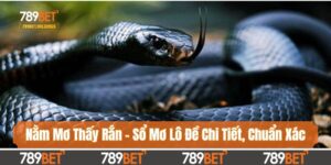 Nằm Mơ Thấy Rắn - Sổ Mơ Lô Đề Chi Tiết, Chuẩn Xác Nhất 2025