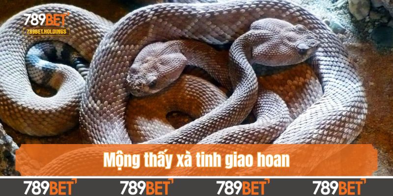 Ngủ mơ thấy rắn: Điềm báo cát hay hung?